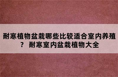 耐寒植物盆栽哪些比较适合室内养殖？ 耐寒室内盆栽植物大全